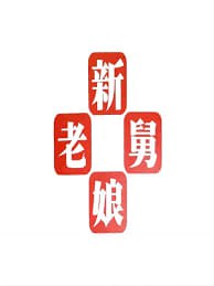 新老娘舅——情人劫