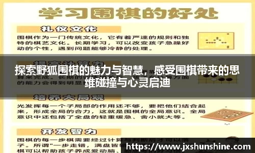 探索野狐围棋的魅力与智慧，感受围棋带来的思维碰撞与心灵启迪