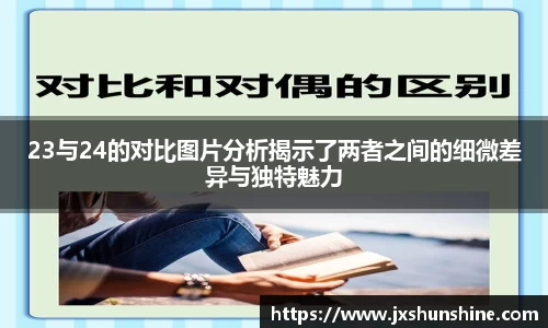 23与24的对比图片分析揭示了两者之间的细微差异与独特魅力